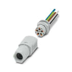 PHOENIX CONTACT - PHC1047360 IPD WD 5P2,5 0,5 M25 GY Passaparete PT