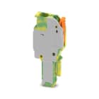 PHOENIX CONTACT - PHC1071728 Maschio