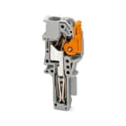 PHOENIX CONTACT - PHC1071732 Maschio