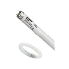 FEILO SYLVANIA ITALY - SYL0000092 F36W T8 BL368 590MM