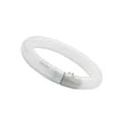 FEILO SYLVANIA ITALY - SYL0001962 FC22W 865