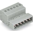 WAGO ITALIA SRL - WAG231-604 CONN M 1 CONDUT 2,5MMQ 5MM 4P GR