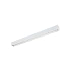 FEILO SYLVANIA ITALY - SYL0051270 RANA LINEAR S 3KLM NW LV+PR BIANCA EMERG