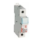 LEGRAND - LEG005818 C/CT IND.1P+N 500V 10X38