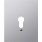 GIRA - GGI009830 COP.METALLO S/SIMBOLI
