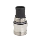 F.I.V. - FVR01306312 SEDENICH.INSC.DET./MIS.(24X19)1