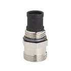 F.I.V. - FVR01306312 SEDENICH.INSC.DET./MIS.(24X19)1