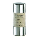 LEGRAND - LEG015396 FUSIBILI CILIND.-GG ACR 22X58-100A S/PER