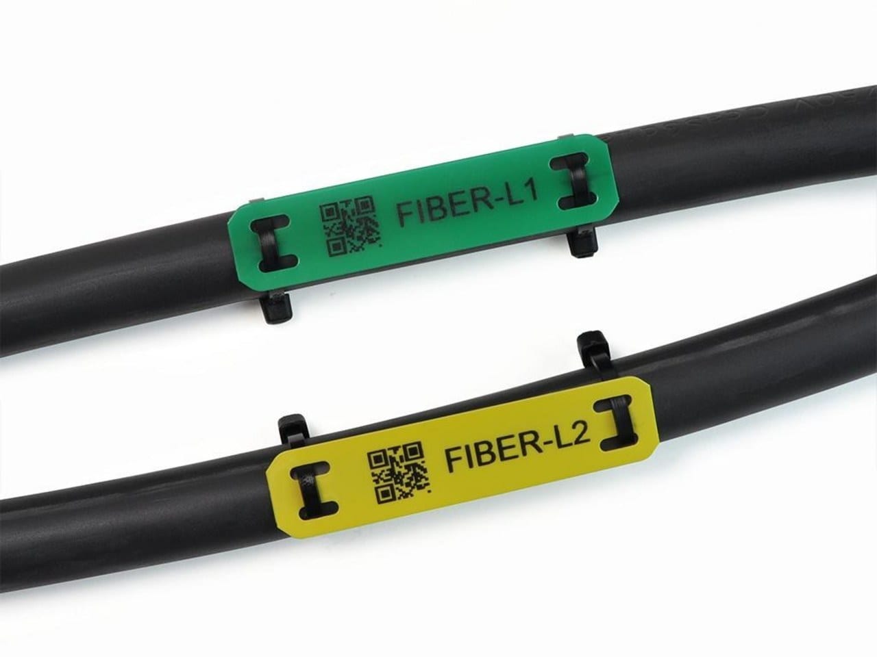 CEMBRE SPA - CEM54293-HF TARGH.MG-ETF BIANCO PC FISS.A FASCET 15X