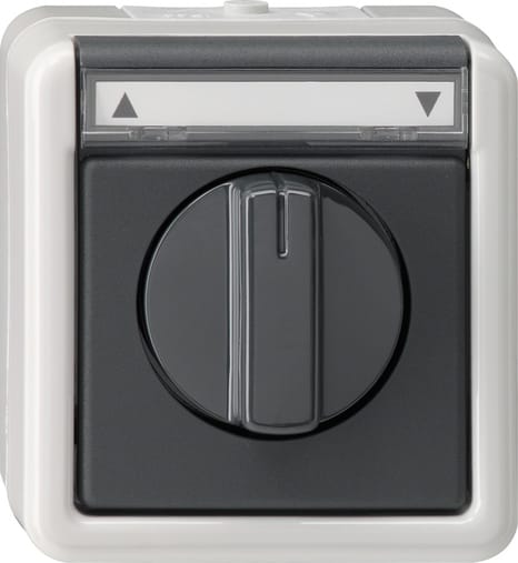 GIRA - GGI015430 PULSANTE COMMUTAZ. VENEZIANA 1 POLO SOPR