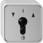 GIRA - GGI016330 PULSANTE A CHIAVE 1 POLO SOPRA INT. PROT
