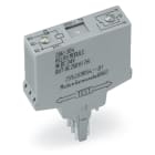 WAGO ITALIA SRL - WAG286-304 REL DC 24V, GRIGIO