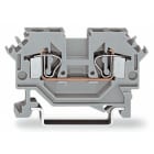 WAGO ITALIA SRL - WAG281-601 MORS PASS 2 CONDUTT 4MMQ SLOTMARCATURA L