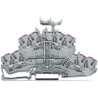 WAGO ITALIA SRL - WAG2002-2438 MORS 2 PIANI 4 CONDUTT MORS PASS 8 CONDU