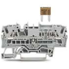 WAGO ITALIA SRL - WAG2002-1681 MORS FUSIBILE 2 CONDUTTMINI-FUSIBILI LAM