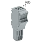 WAGO ITALIA SRL - WAG2020-103 SPINA F 1 CONDUT 1,5MMQ 3,5MM 3P GR