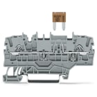 WAGO ITALIA SRL - WAG2002-1981 MORS FUSIBILE 2 CONDUTTMINI-FUSIBILI LAM