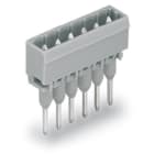 WAGO ITALIA SRL - WAG231-168/003-000 CONN. MASCHIO PER MORSETTI PER MONTAGGIO