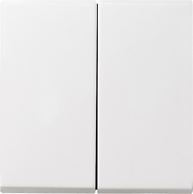 GIRA - GGI029503 INT.BIL.2-M SYSTEM 55 BNC PURO
