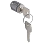 LEGRAND - LEG034785 WH3008-BLIZZARDP CILINDRO CON CHIAVE 421