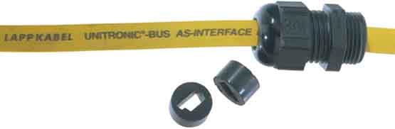 LAPP ITALIA SRL - LPP53611000 SKINTOP DIX ASI PG 11