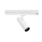 LINEA LIGHT (ILED) - ILD82607W30 POUND DALI 6 1L 15W CRI92 BAL+AL BG