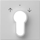 GIRA - GGI0664015 COPERT. INT./PS.A CHIAVE SYSTEM 55 GRIGI