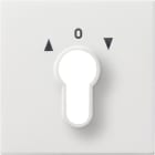 GIRA - GIR0664112 COPERT. INT./PS.A CHIAVE GIRA F100 BNC P