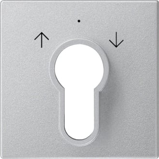 GIRA - GGI066426 COPERT. INT./PS.A CHIAVE SYSTEM 55 C.ALL