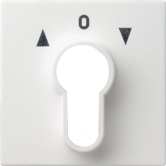 GIRA - GIR066427 COPERT. INT./PS.A CHIAVE SYSTEM 55 BNC P