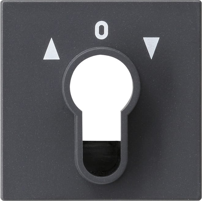 GIRA - GIR066428 COPERT. INT./PS.A CHIAVE SYSTEM 55 ANTRA
