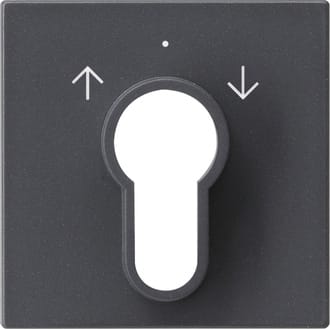 GIRA - GGI066428 COPERT. INT./PS.A CHIAVE SYSTEM 55 ANTRA