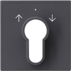 GIRA - GGI066428 COPERT. INT./PS.A CHIAVE SYSTEM 55 ANTRA