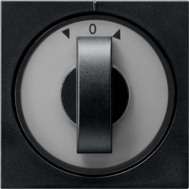 GIRA - GIR0666005 COP. SELETTORE TEMPORIZ. + VENEZIANA