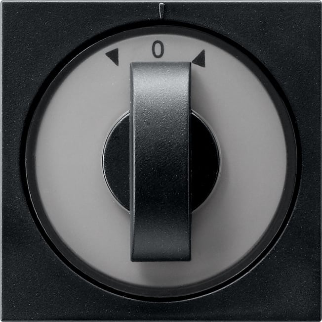 GIRA - GIR0666005 COP. SELETTORE TEMPORIZ. + VENEZIANA