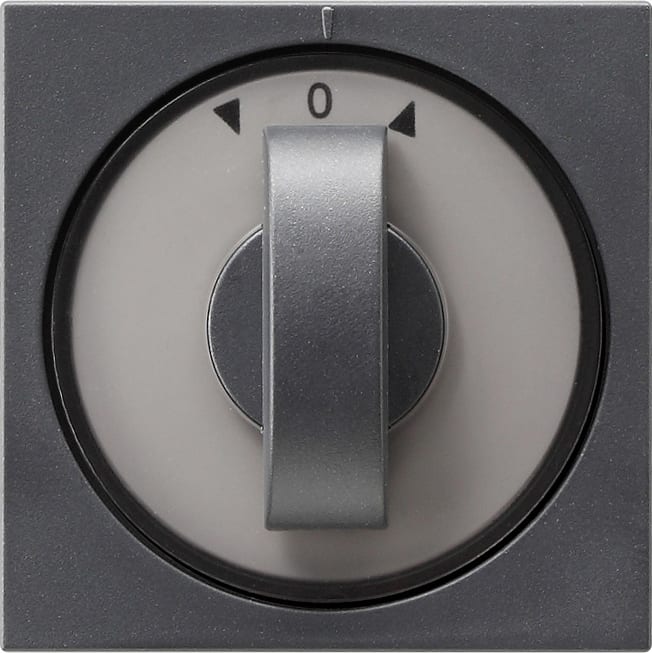 GIRA - GIR066628 COP. SELETTORE TEMPORIZ. + VENEZIANA