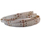 ELCOM SRL - EOW06667 STRIP 120LED/M 24W/M VERDE IP20