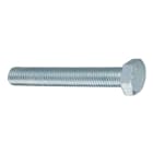 FISCHER ITALIA - FIS00077611 SKS 12X55 VITE METRICA T.E.
