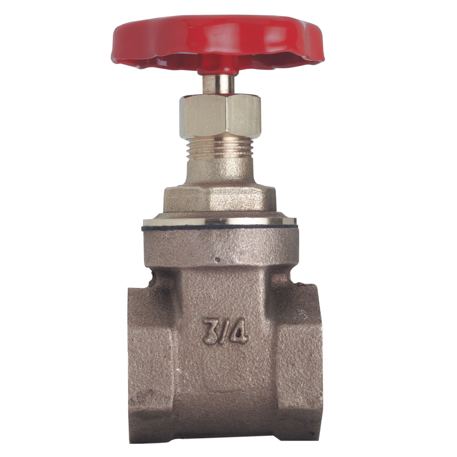 F.I.V. - FVR08017212 SARACINESCA BRONZO 21/2