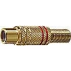 ELCART DISTRIBUTION - ERT040203900 PRESA VOL. RCA DORATA GIALLA POL