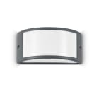 IDEAL LUX SRL - IUX092409 REX-1 AP1 ANTRACITE