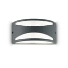 IDEAL LUX SRL - IUX092447 REX-3 AP1 ANTRACITE