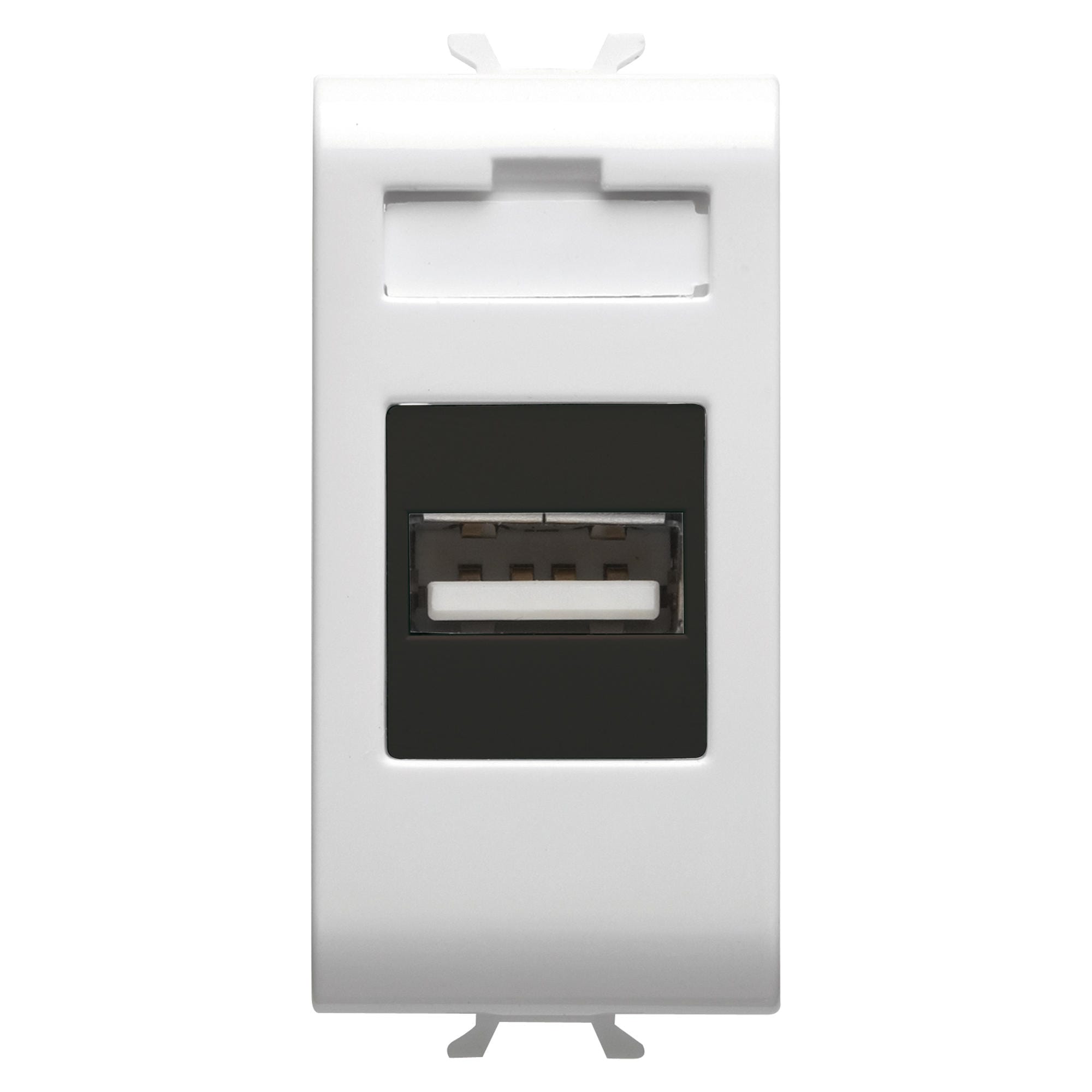 GEWISS - GEWGW15459 PRESA USB 1M B.SAT
