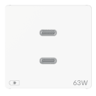 GEWISS - GEWGWC20365 ALIMENTATORE USB TIPO C+C 63W PD 2M BIAN