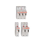 MERSEN ITALIA SPA - XESC331156 PORTAFUS.BT US 14X51 800VAC-1000VDC M+I