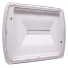 EATON - EAOSL2MNM65D2C SAFELITE 11W SA/SE 100LM 2H IP65