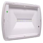 EATON - EAOSL2MNM42H1C SAFELITE 24W SA/SE 300LM 1H IP42