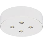 EATON - EAO40071350381 3514 APPARECCHIO A 4LED CG-S TONDO SOFFI