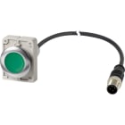 EATON - EAO186005 C30C-FDL-G-K10-24-P5