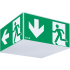 EATON - EAO40071353422 EXIT CUBE 33042 LED CG-S
